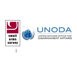 Future Directions for Gender-sensitive Ammunition Management Processes