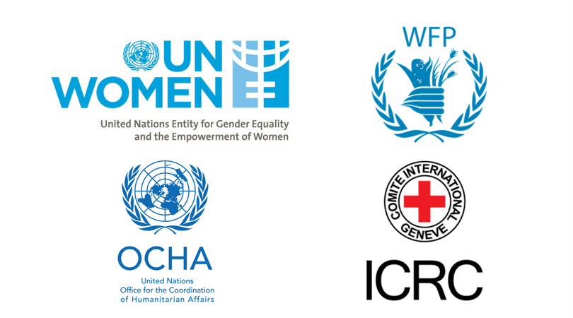 Expert Group Meeting: Gender and Diversity in front line humanitarian negotiations