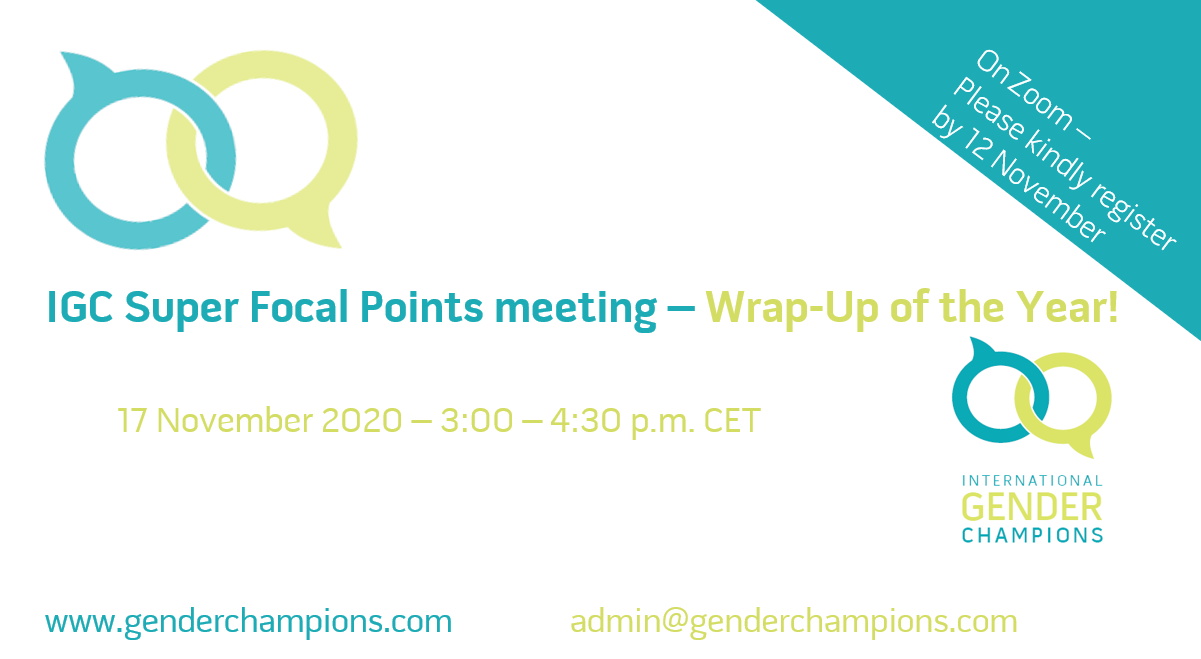 IGC Super Focal Points Meeting - End of Year Edition
