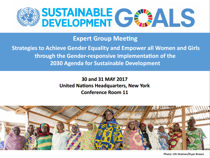 Expert Group Meeting : Making the SDGs work for women