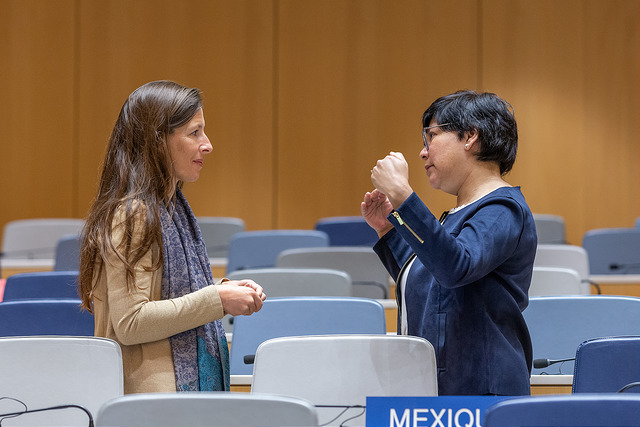 Cross-cutting "Women and IP" decision adopted at WIPO