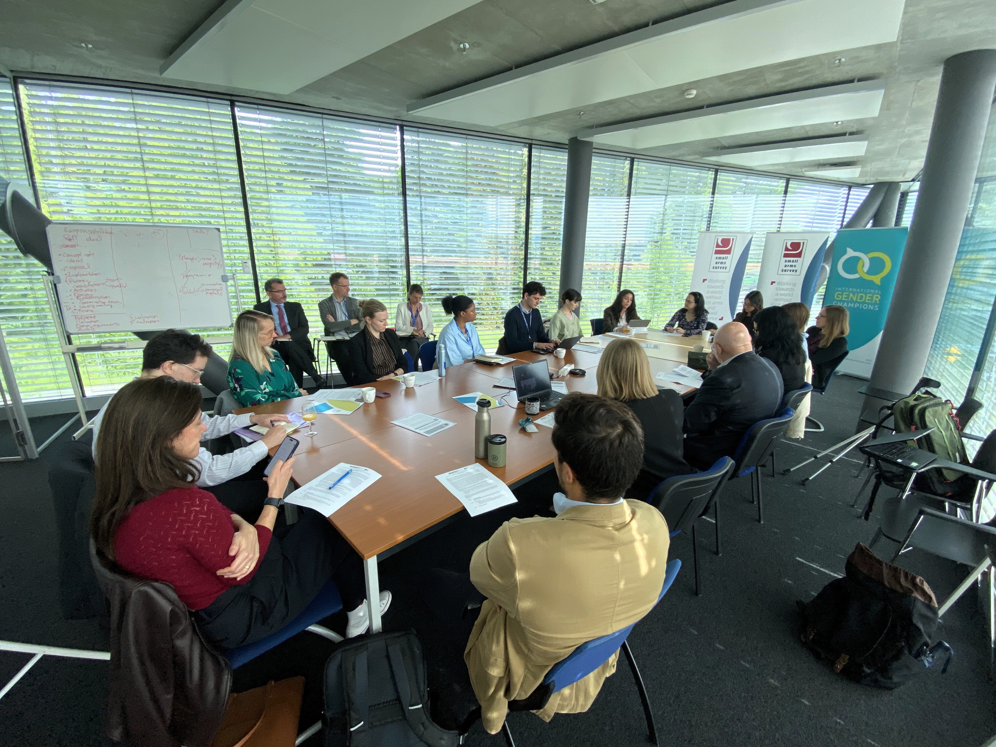 Expert Roundtable on Strengthening the Global Health Response to Firearm Violence and its Gendered Impacts