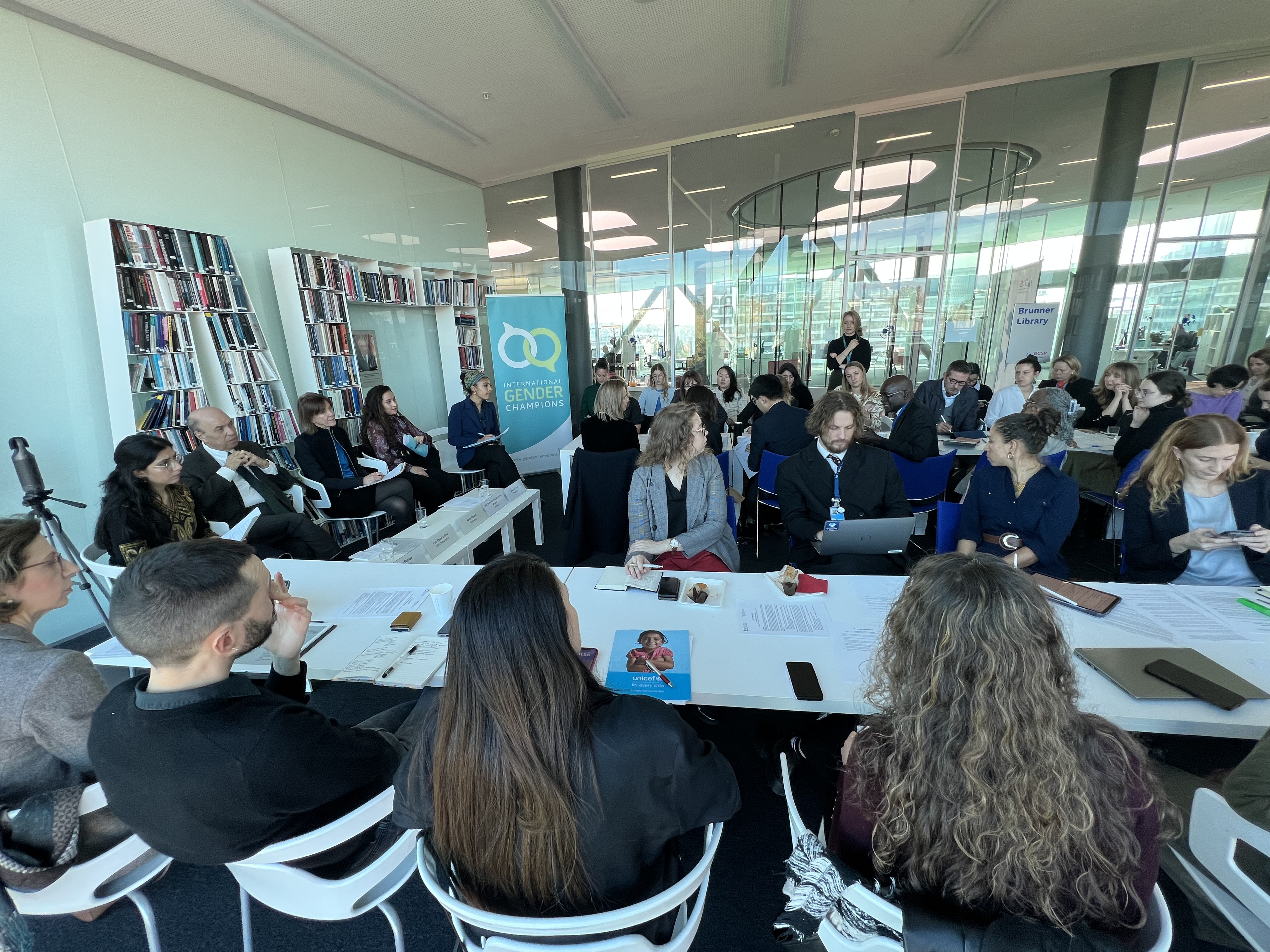 South-South Dialogue - Beijing +30: Leveraging South-South Cooperation for SDG 5