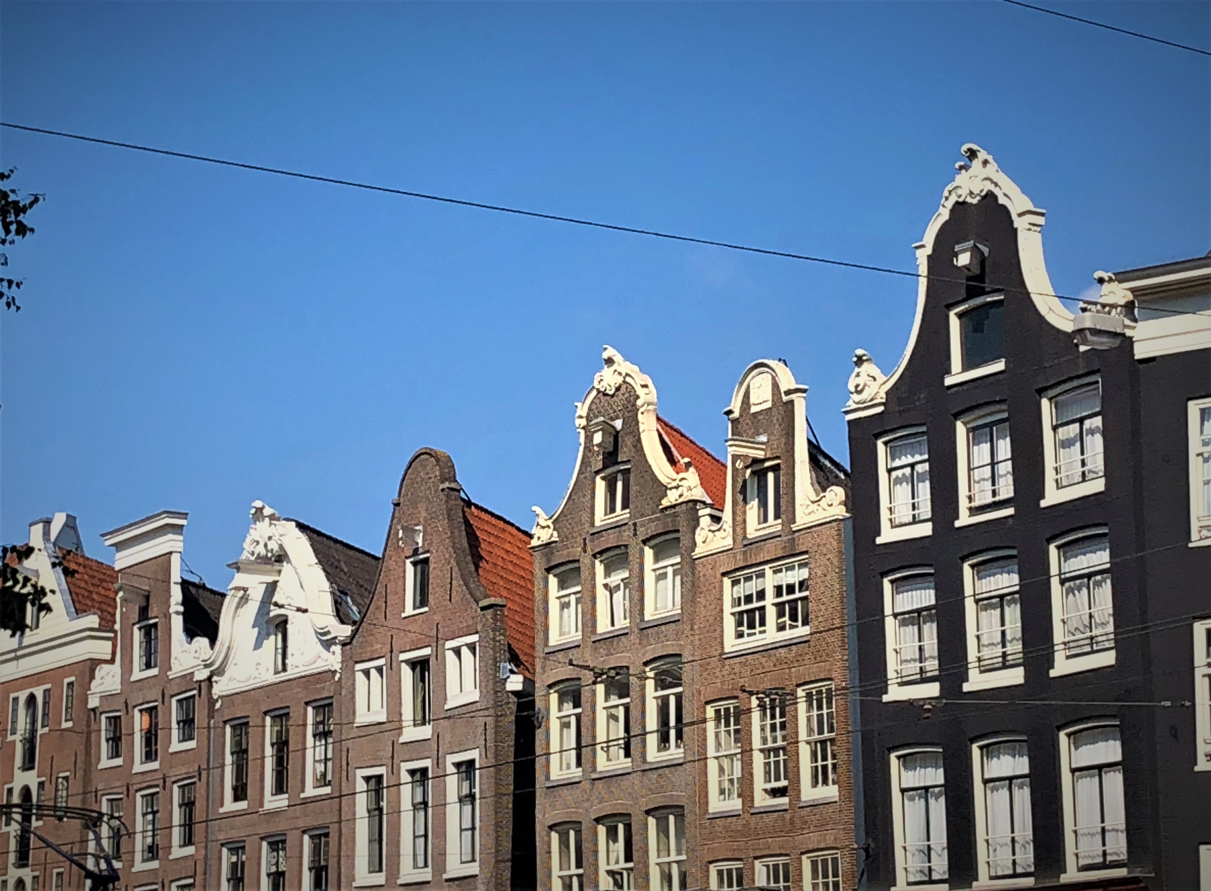 Women shine in academia: two female researchers win prestigious Franco-Dutch award