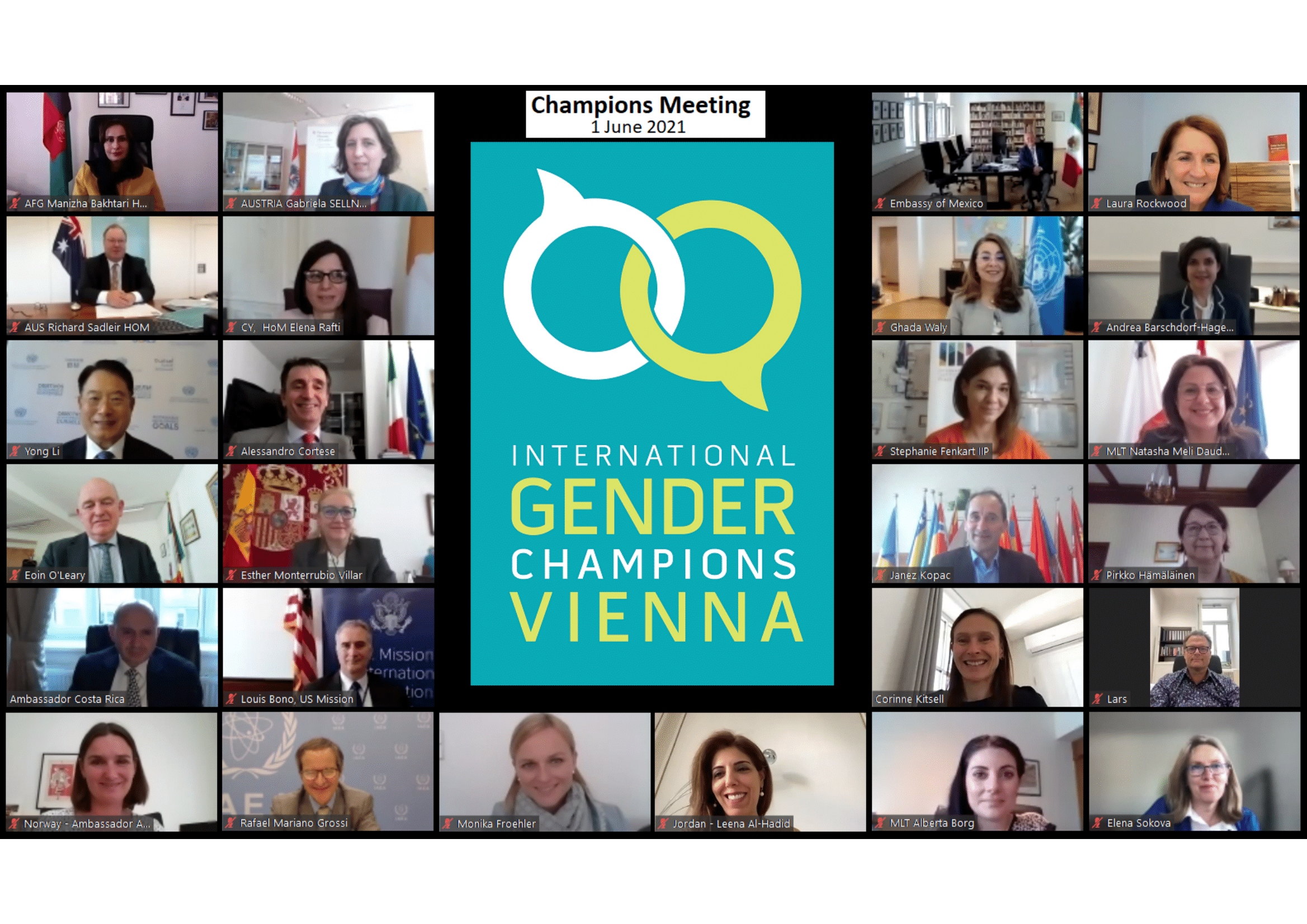 Vienna-based International Gender Champions meeting