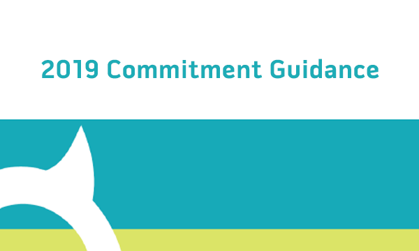 IGC 2019 Commitment Guidance
