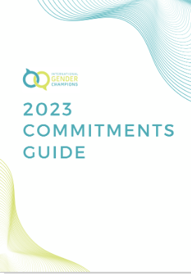 IGC Commitments Guide