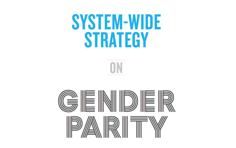 UN System-wide Strategy on Gender Parity