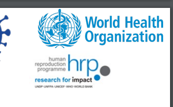 COVID-19 and violence against women: What the health sector/system can do