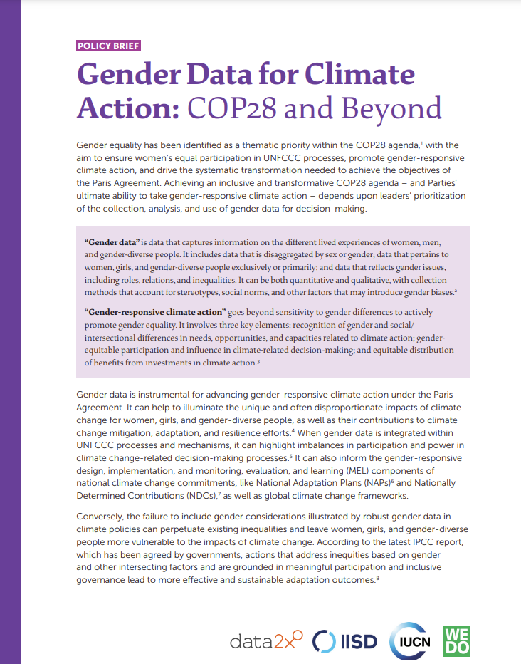 Gender Data forClimate Action: COP28 and Beyond