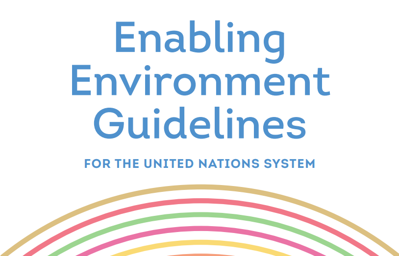 UN Enabling Environment Guidelines